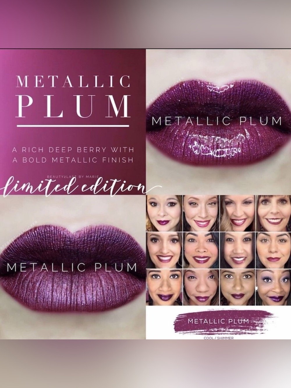 LipSense Metallic Plum Shimmer Lipstick - Deep Plum Berry